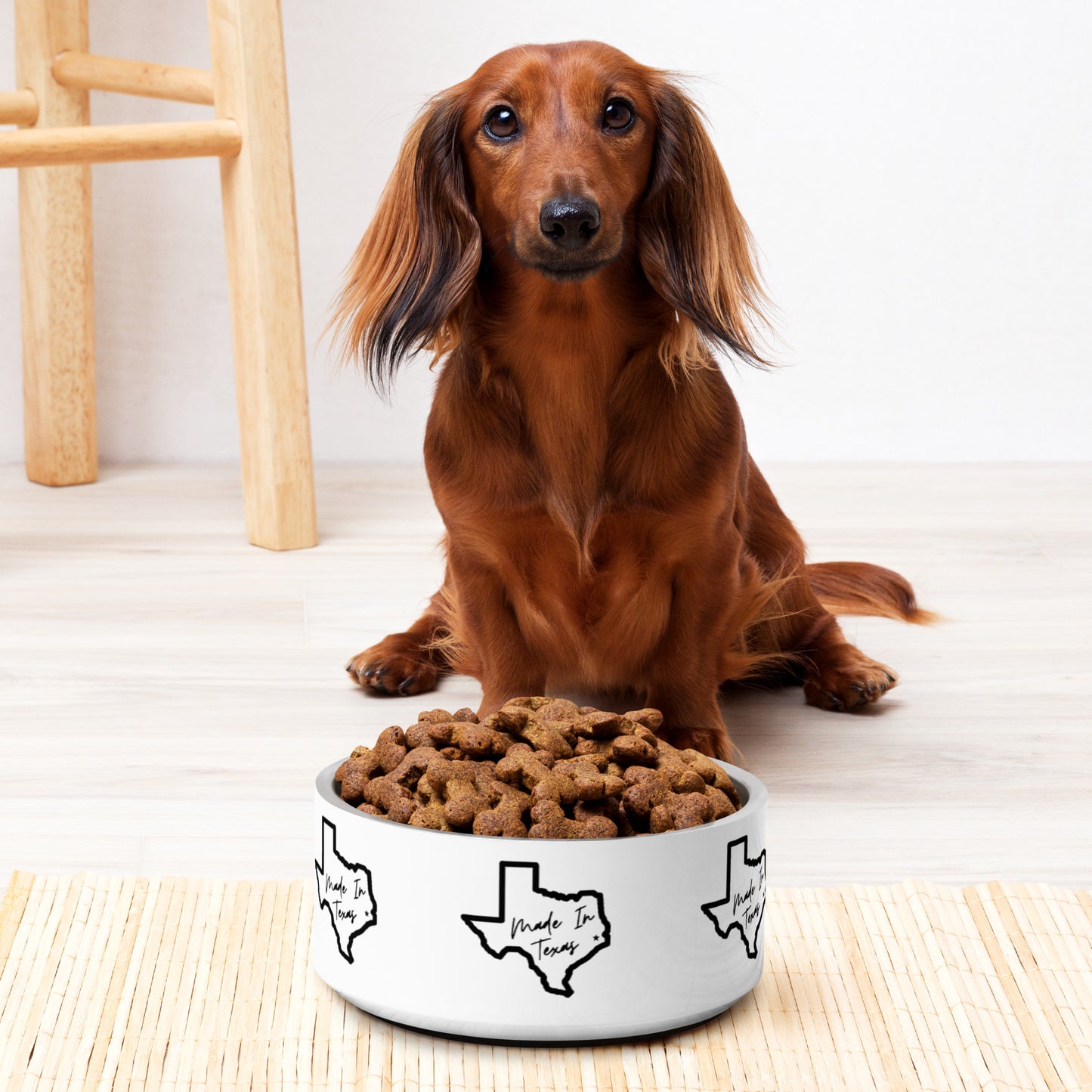"MADE IN TEXAS" Pet bowl
